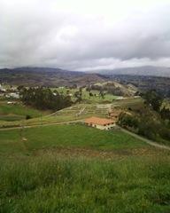 Ingapirka