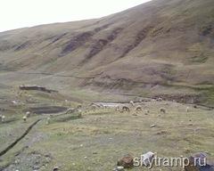 Doroga v maldonado 4000m