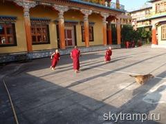 yang monks