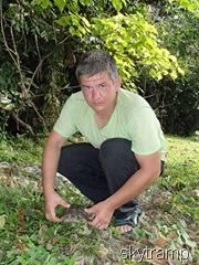 Сергей м черепашка